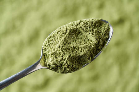 Barley grass powder on a spoon - healthy nutritional supplementの写真素材