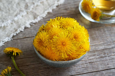 Fresh dandelion flowers collected in springの写真素材