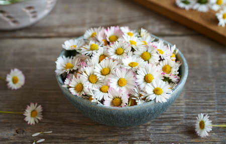 Common daisy flowers in a bowl on a tableの写真素材