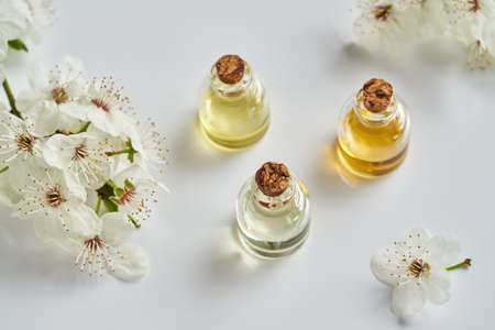 Bottles of essential oil with white blossoms in spring on bright backgroundの写真素材