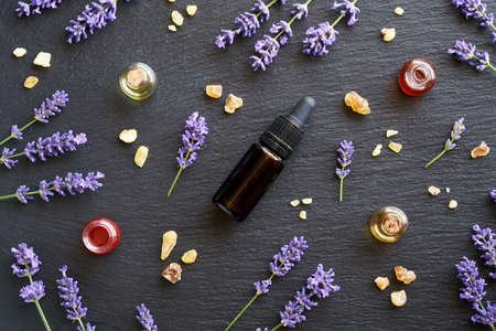 Dark background with bottles of aromatherapy essential oil, fresh lavender and frankincense resin