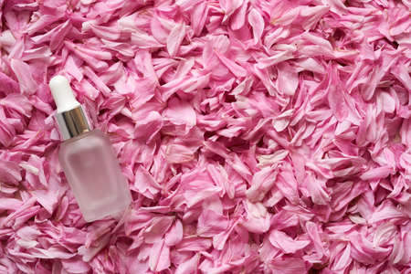 A glass bottle of aromatherapy essential oil on pink kwanzan cherry flower petals with copy spaceの写真素材