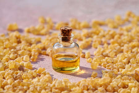 A bottle of aromathreapy essential oil with frankincense resin on pastel pink backgroundの写真素材
