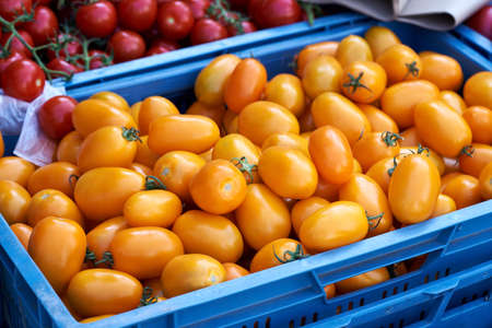 Fresh orange tomatos in a blue crate at the farmers market in the summerの写真素材
