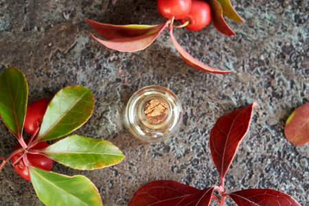A glass bottle of aromatherapy essential oil with fresh wintergreen leaves and berries, top view