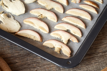 Sliced fresh king bolete mushrooms on a tableの写真素材