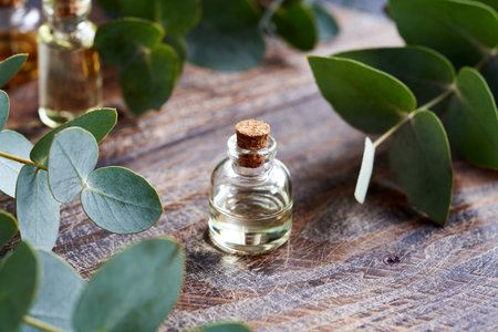 A bottle of aromatherapy essential oil with fresh eucalyptus leavesの写真素材