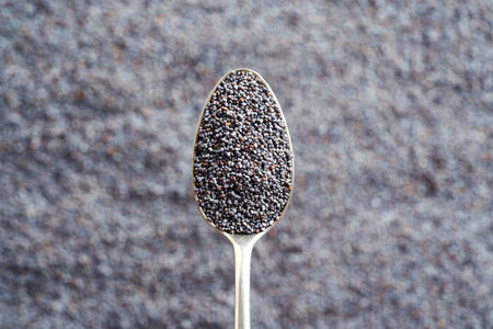 Poppy seeds on a spoon with copy spaceの写真素材