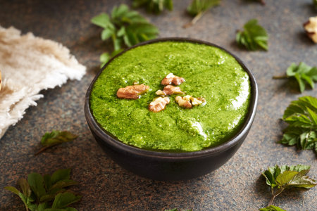 Ggreen pesto made of fresh goutweed - wild edible plant growing in early springの写真素材