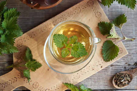 A cup of stinging nettle tea with fresh plant, top viewの写真素材