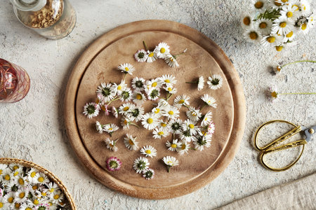 Fresh common daisy flowers on a wooden cutting board, top viewの写真素材
