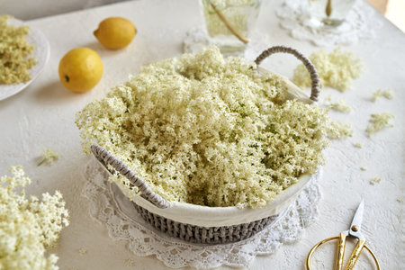 Fresh elderberry flowers in a wicker basket on a white table