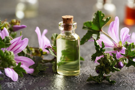 A bottle of aromatherapy essential oil with fresh blooming mallow plantの写真素材