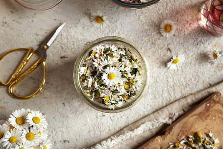 Preparation of homemade herbal syrup from fresh common daisy syrupの写真素材
