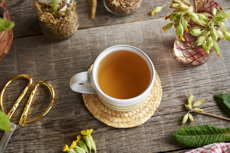 A cup of tea made from fresh primrose or cowslip herbの写真素材