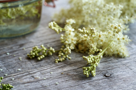 White meadowsweet or Filipendula ulmaria blossoms on a wooden tableの写真素材