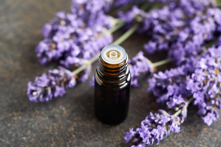A dark bottle of aromatherapy essential oil with fresh lavender flowers on dark backgroundの写真素材