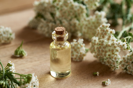 A transparent bottle of aromatherapy essential oil with fresh yarrow or Achillea millefolium flowersの写真素材