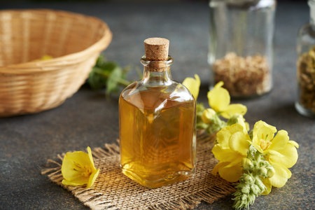 Homemade herbal tincture in a glass bottle, with fresh blooming mullein or Verbascum densiflorum plantの写真素材