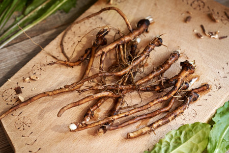 Fresh dandelion roots on a wooden cutting boardの写真素材
