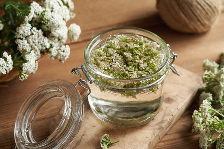 Homemade herbal tincture made from fresh blooming yarrow or Achillea millefolium plantの写真素材