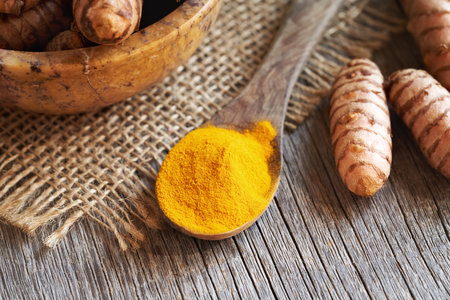 Ground turmeric powder on a spoon with fresh rootの写真素材