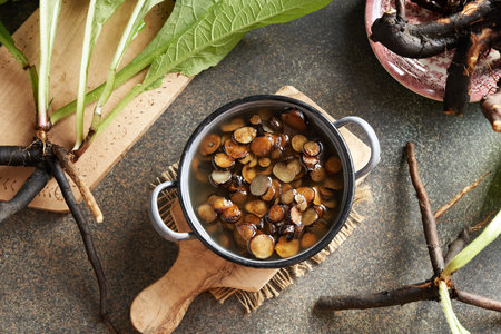 Preparation of Symphytum ointment for bones and joints from fresh sliced comfrey root and rendered pork lardの写真素材