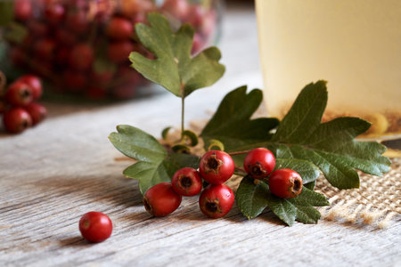 Ripe hawthorn berries harvested in autumn on a table, with herbal tea in the backgroundの写真素材