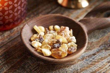 Frankincense resin - ingredient for essential oilsの写真素材