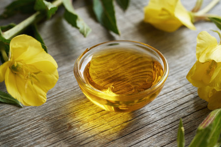 Evening primrose oil in a glass bowl - healthy nutritional supplementの写真素材