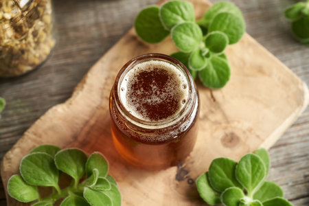 A jar of homemade Plectranthus amboinicus syrup for common cold, with fresh plantの写真素材