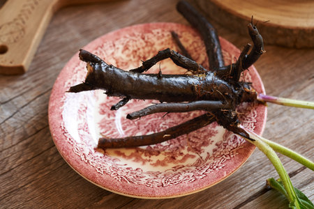 Fresh whole comfrey root on a plate on a tableの写真素材