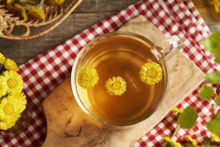 A cup of herbal tea with fresh coltsfoot flowers, top viewの写真素材
