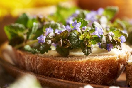 Fresh ground-ivy flowers and leaves harvested in spring on a slice of sourdough bread, close upの写真素材