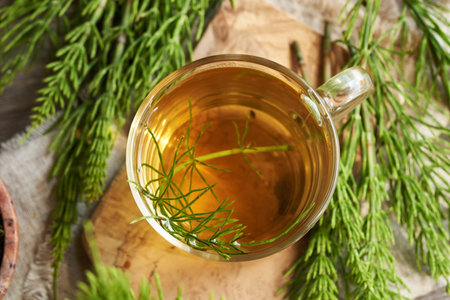 A cup of herbal tea with fresh horsetail twigs, top view. Medicinal plant.の写真素材