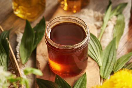 A jar of homemade ribwort plantain syrup for cough with fresh plant on a tableの写真素材