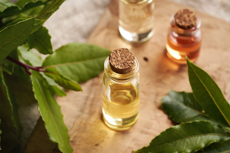 Bottles of aromatherapy essential oil with fresh bay leaves on a tableの写真素材