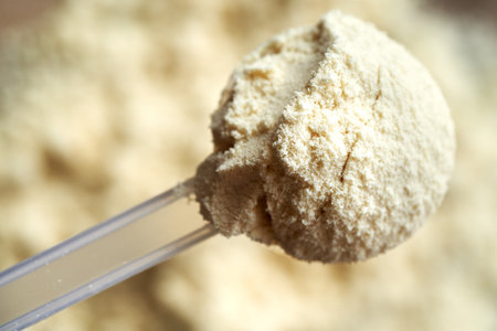 Top view of whey protein powder in a measuring scoopの写真素材