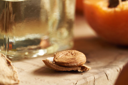 Closeup of apricot seed with a bottle of apricot kernel oil in the backgroundの写真素材