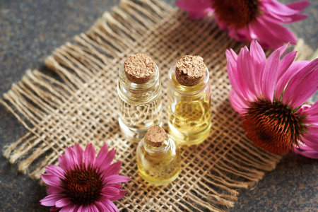 Three transparent bottles of aromatherapy essential oil with purple echinacea flowers on a tableの写真素材