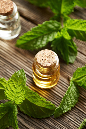 A glass bottle of aromatherapy essential oil with green peppermint leavesの写真素材