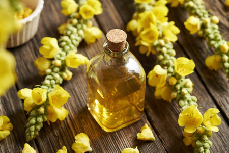 A bottle of herbal tincture with fresh mullein or Verbascum flowers on a table