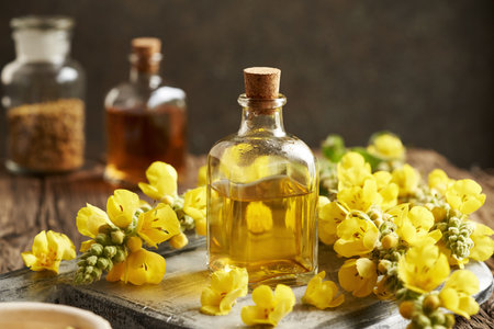 A transparent glass bottle of herbal tincture with fresh mullein or Verbascum densiflorum flowersの写真素材