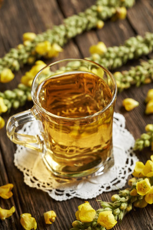 Mullein tea in a glass cup on a tableの写真素材