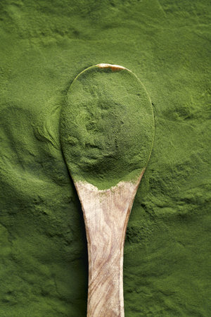 Green chlorella algae powder on a spoon, top viewの写真素材