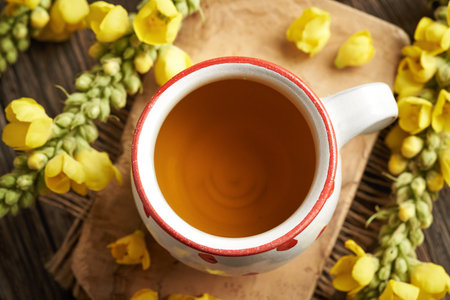 A white dotted cup of mullein tea with fresh Verbascum flowers, top viewの写真素材