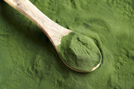 Green chlorella algae powder on a spoon, close up