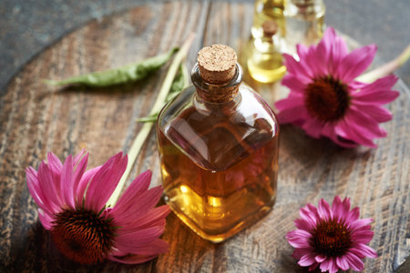 Herbal tincture in a glass bottle with fresh echinacea flowersの写真素材