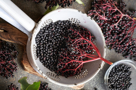 Fresh wild black elderberries in a colander - ingredient for homemade herbal syrup