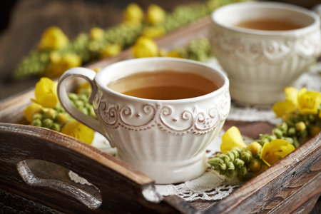 Herbal tea with fresh blooming mullein or Verbascum densiflorum plant on a trayの写真素材
